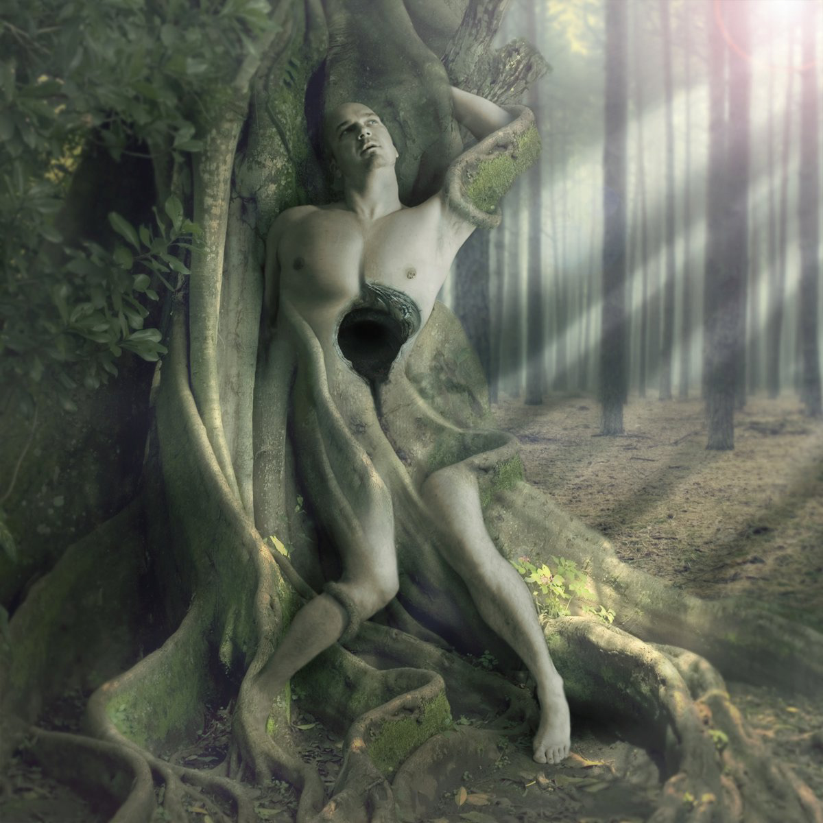 Select Photo Manipulations - 17