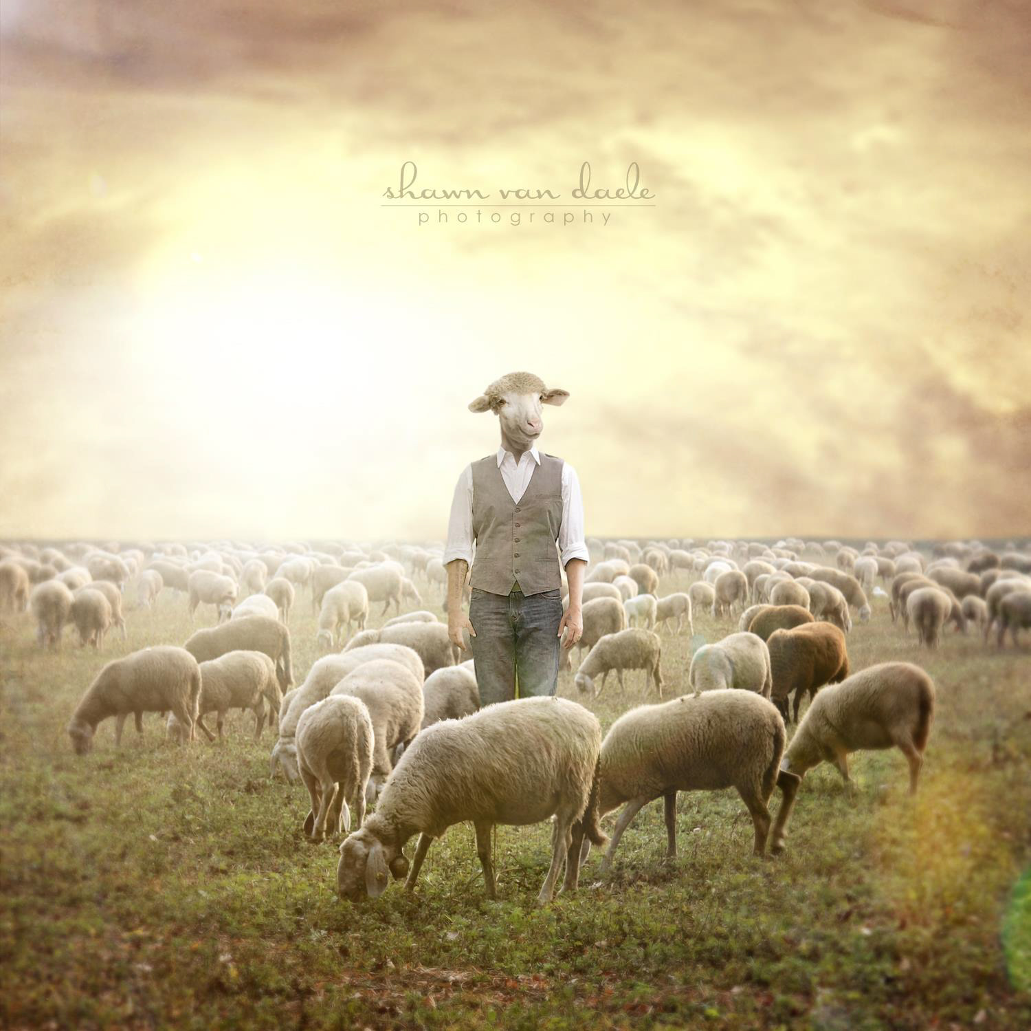 Select Photo Manipulations - 3
