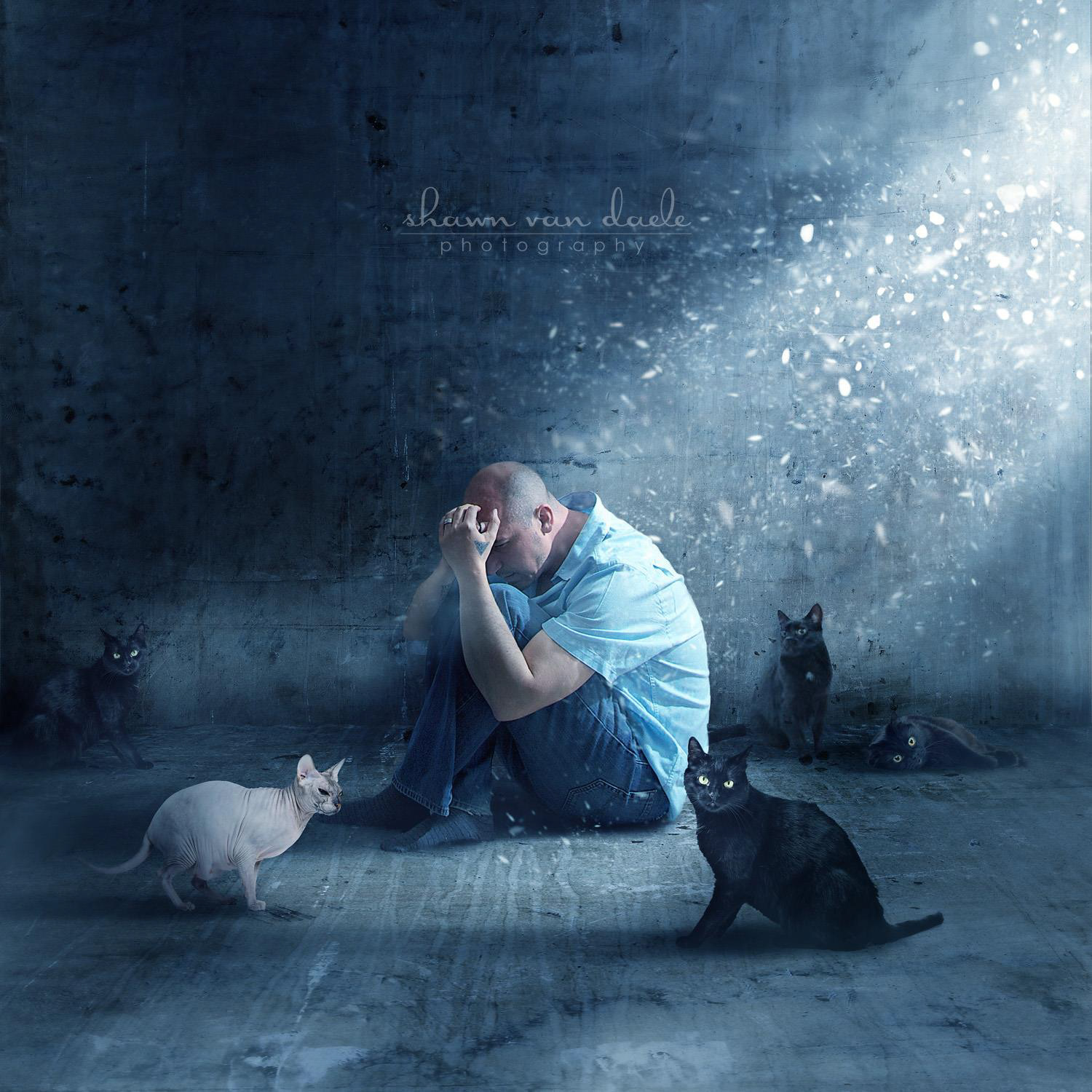 Select Photo Manipulations - 1